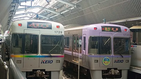 並んで停車、旅の予感