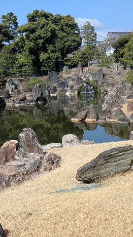 水面に映る静寂の庭園