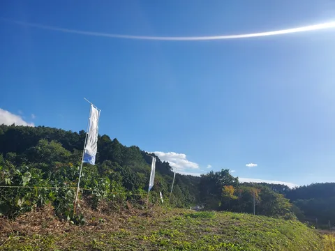 風と旗が作る小さな風景
