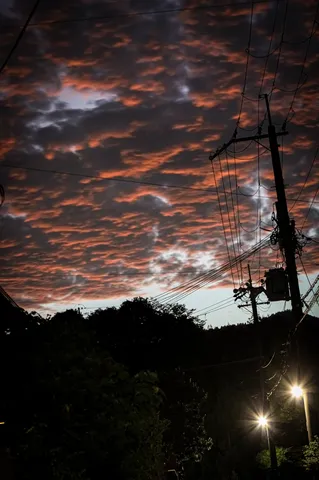 夕焼けと電線のコントラスト