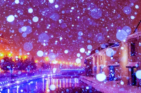 紫の雪が彩る夜の運河