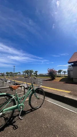 海風と自転車の午後
