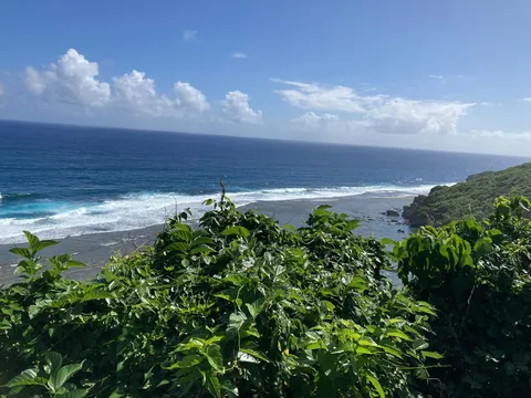 緑と青のコントラスト、海辺の眺め