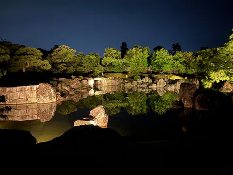 夜の庭園、静寂の映り込み