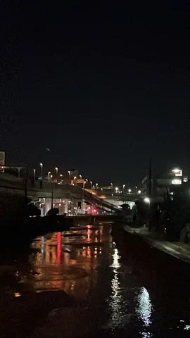 闇夜に揺れるリフレクション