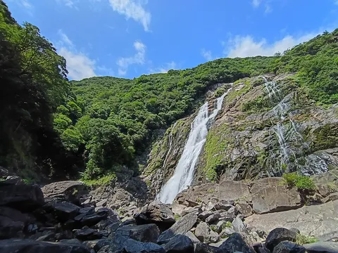 緑と滝の静かな流れ