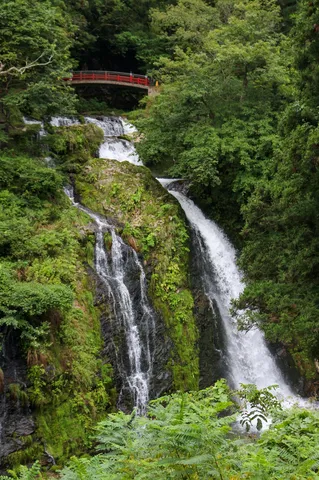 緑と滝の静かな景色