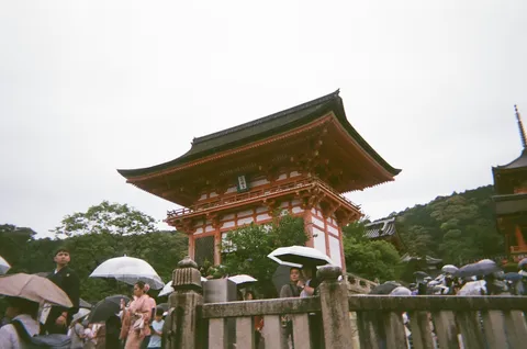 朱色が映える雨の日の風景
