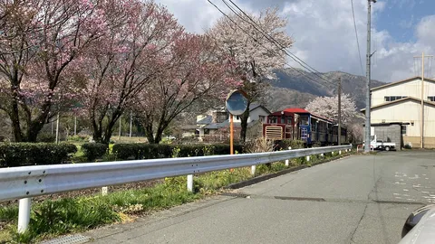 春色列車と田舎道