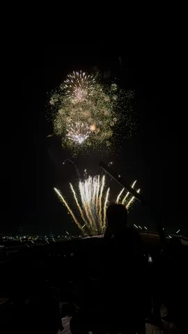 夜空に咲く華