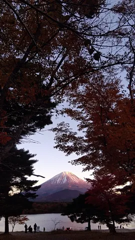 燃えるような紅葉と富士山の静寂