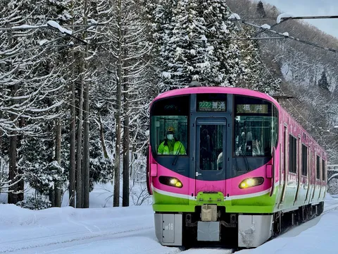 雪国の主役は、ド派手なこの子でした