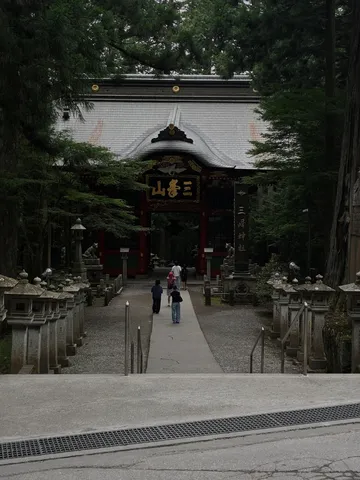 古の杜、参道に息づく静寂