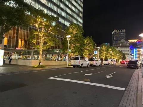 夜の街路に灯る光の樹々