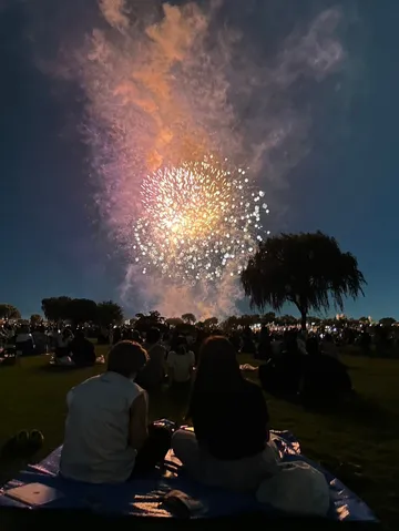 夜空に咲く大輪の花