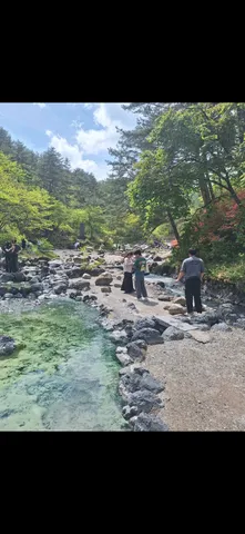 木漏れ日と清流の遊歩道