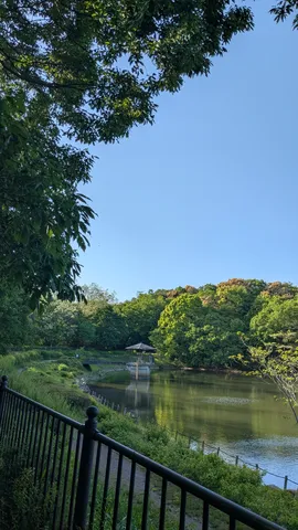 緑に包まれた水辺の隠れ家