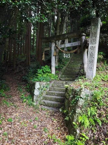 緑深き森の石段、静寂の入口
