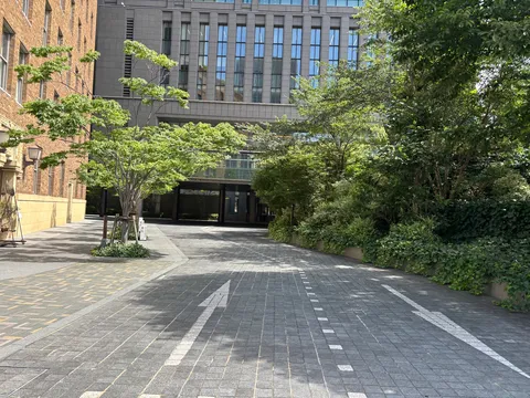 緑陰に誘われる都会の小道