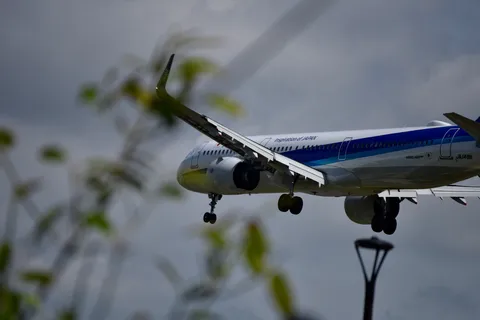 翼を広げ、空へ向かう瞬間