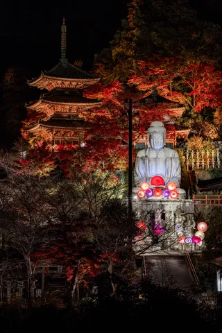 夜空に映える仏と紅葉