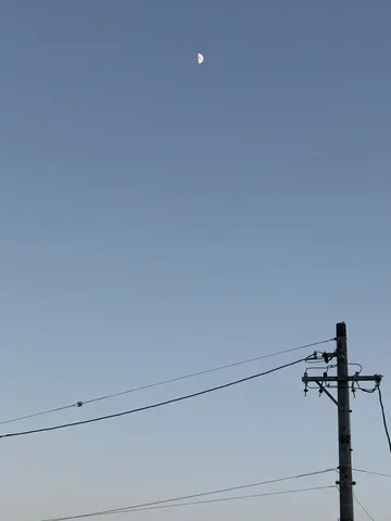 電線と三日月、都会の空