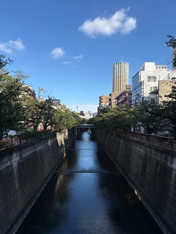 都会の谷間を流れる青