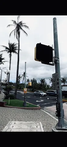 椰子並ぶ街の風景