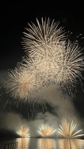 夜空に咲いた光の花束