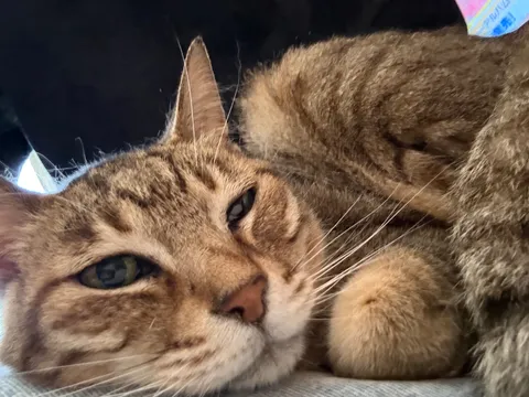 ねむねむ…この後どうする？