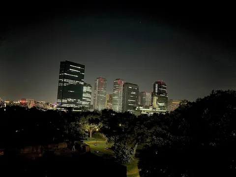 夜の都会と木々の静寂