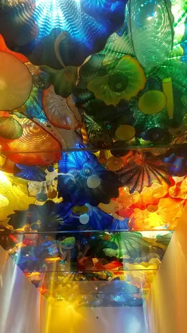 光の海の天井アート