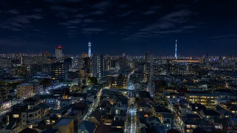 煌めく夜景、眠らない街の息吹