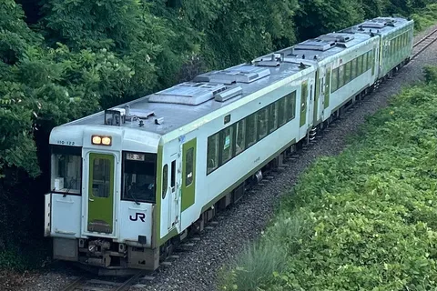 緑の中を駆ける快速列車