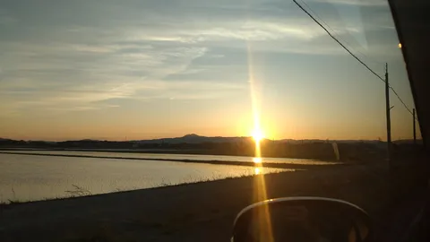水田に沈む夕陽、光の道