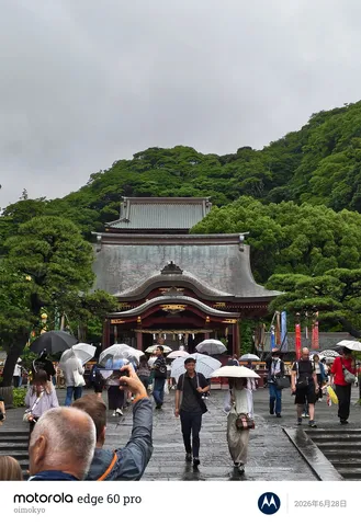 雨粒と緑に彩られた古刹