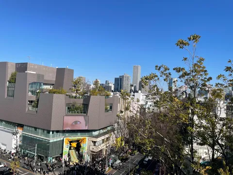街角の視線と緑の呼吸