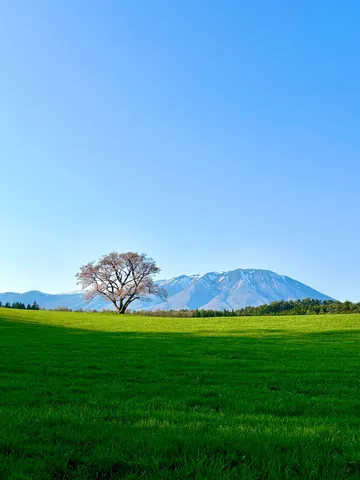 風景の静かな呼吸