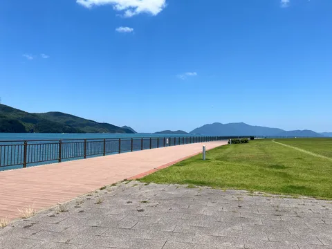 海沿いの遊歩道と広がる芝生