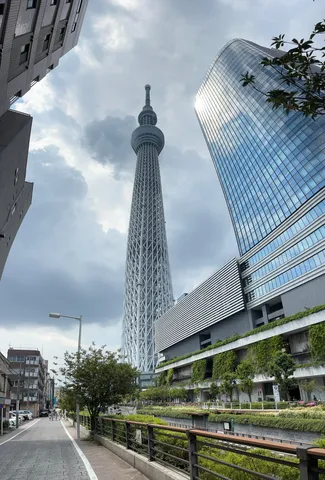 天空の塔と都会の緑