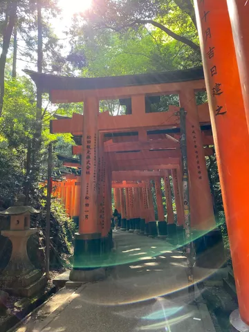 赤い鳥居の光の道
