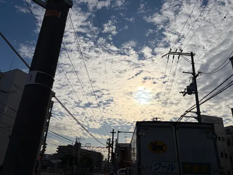 空に広がる街角の網