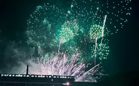 夜空に開く翠の華