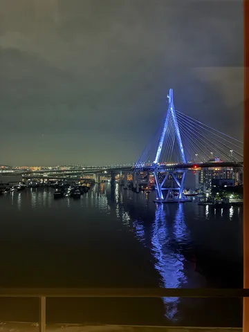 夜の水面に浮かぶ青の架橋