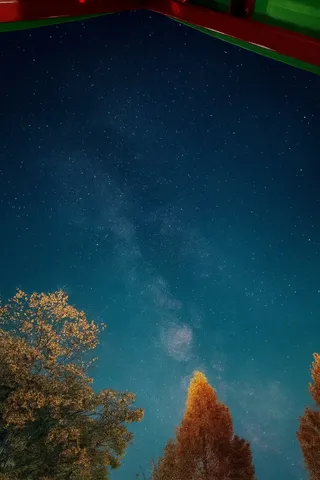 夜空を彩る星と木々