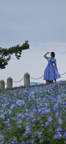 空と花が溶け合う青の世界