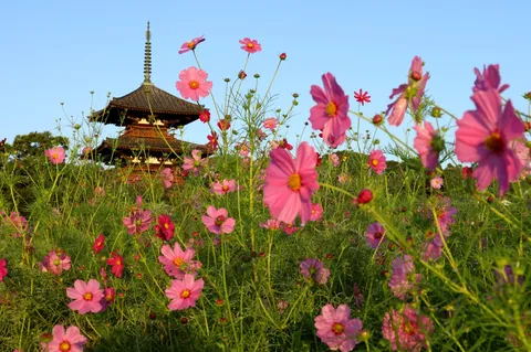 花と塔の夏色風景