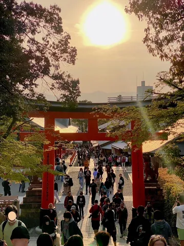 光をくぐる参道の群れ