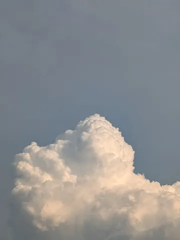 夏の空