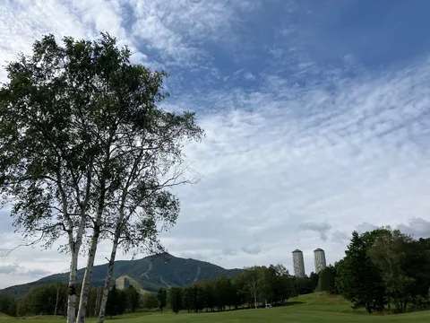 木陰の風と塔の影